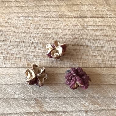 四川“花”花椒