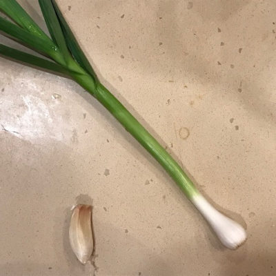 Green Garlic plant compared to garlic clove