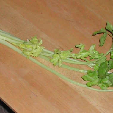 中国芹菜（南岭）