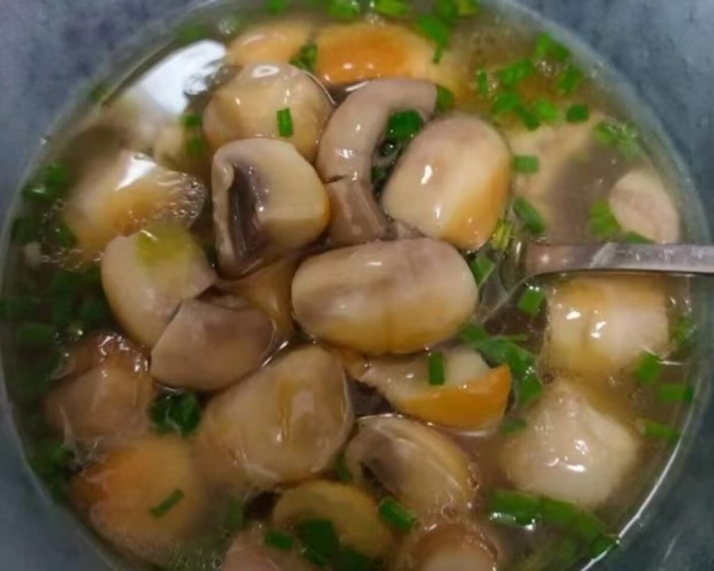 Fresh Mushroom Soup with white mushrooms
