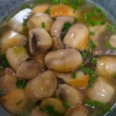 Mushroom Soup