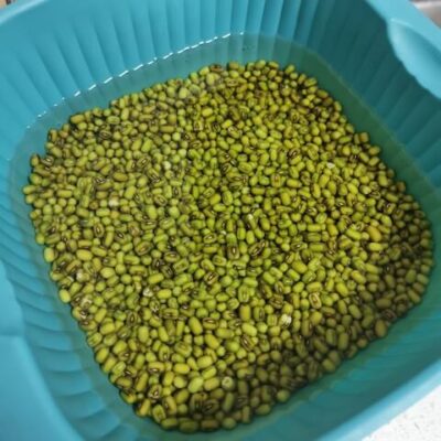 Soak the green mung beans in water for 2 hours