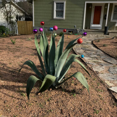 Texas Christmas Tree