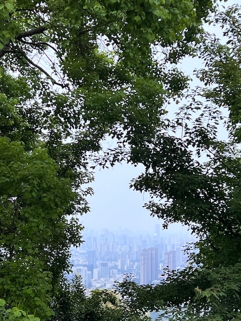 从大蜀山俯瞰安徽合肥