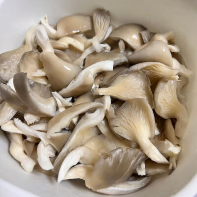 Oyster mushrooms